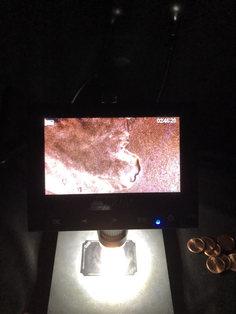 2023 Lincoln Penny Error #3