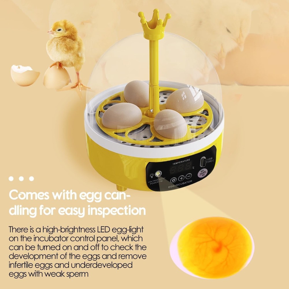 Egg Incubator with Manual Egg Turning & Humidity Control, Incubators