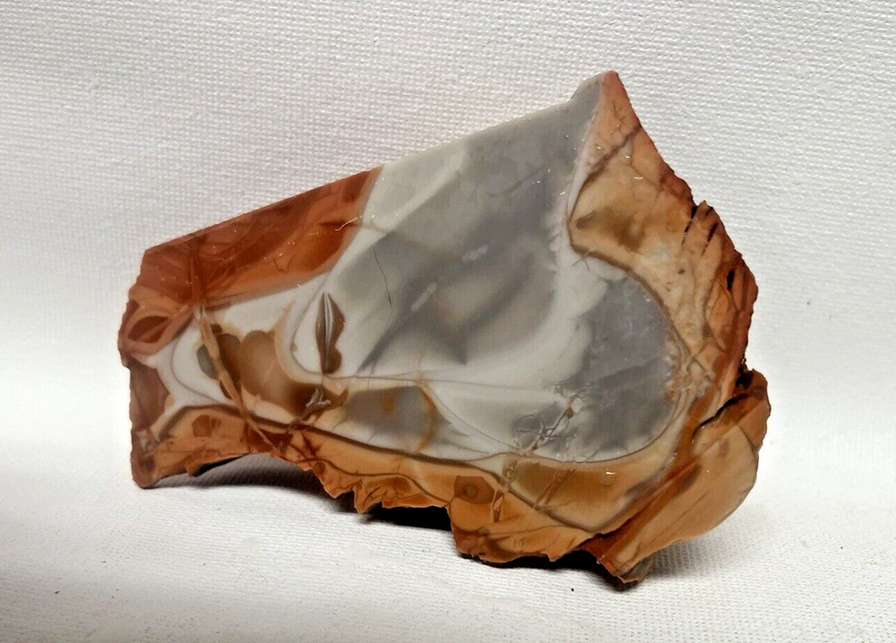 Willow Creek Jasper 173gm Gem Lapidary End Cut Rough!
