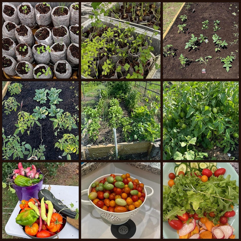UGRO Coco Coir Seed Starter Plugs