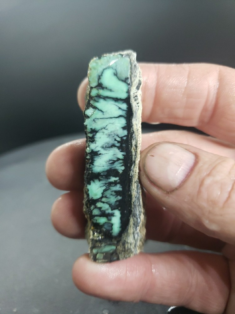 Nevada Saguaro Variscite Slab