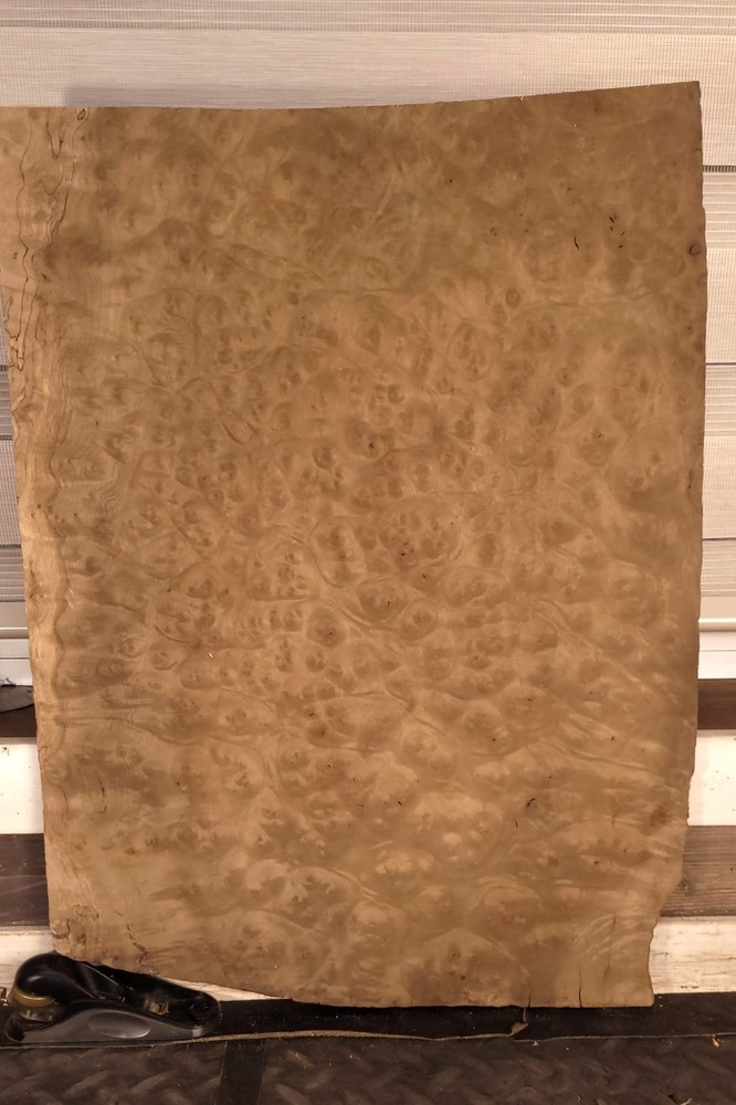 True Master Grade One Piece Maple Burl Thick Drop Top