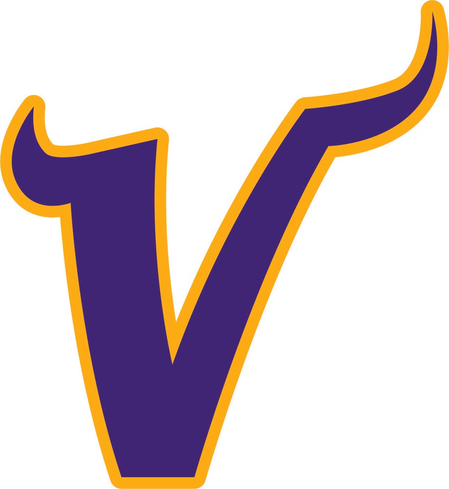 MINNESOTA VIKINGS Vinyl Decal / Sticker ** 5 Sizes **