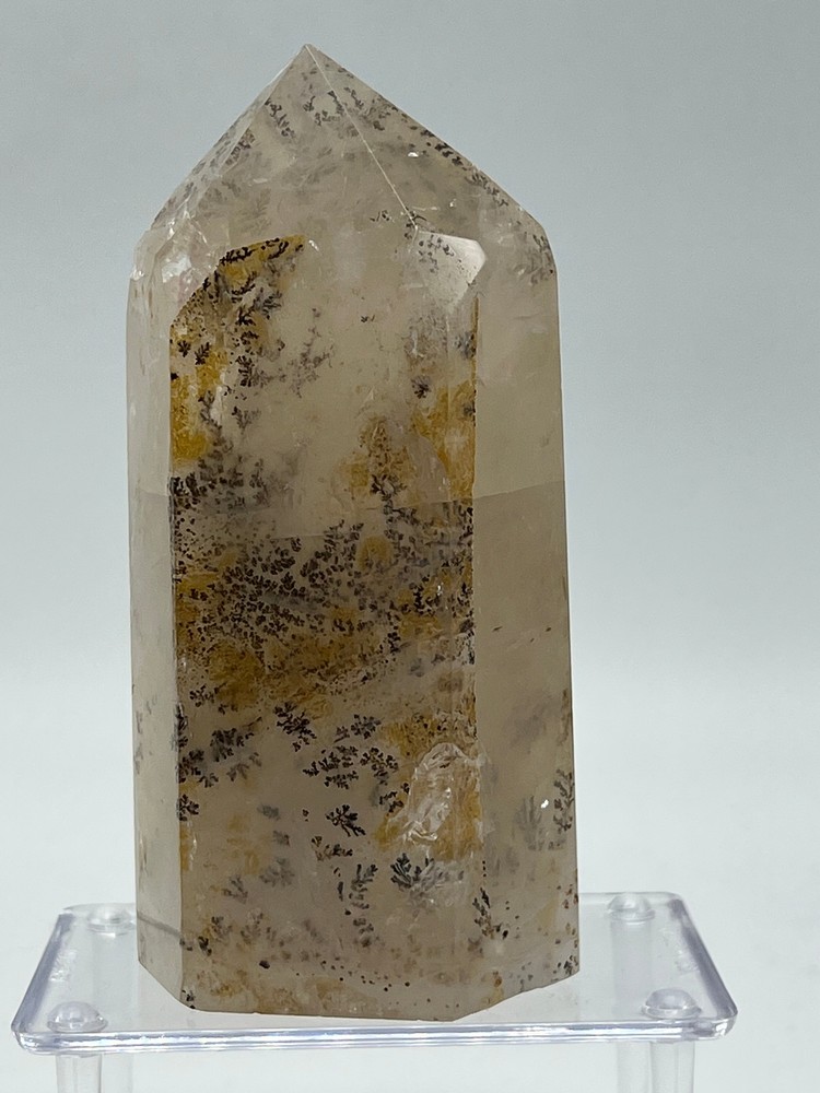 Dendritic Quartz I