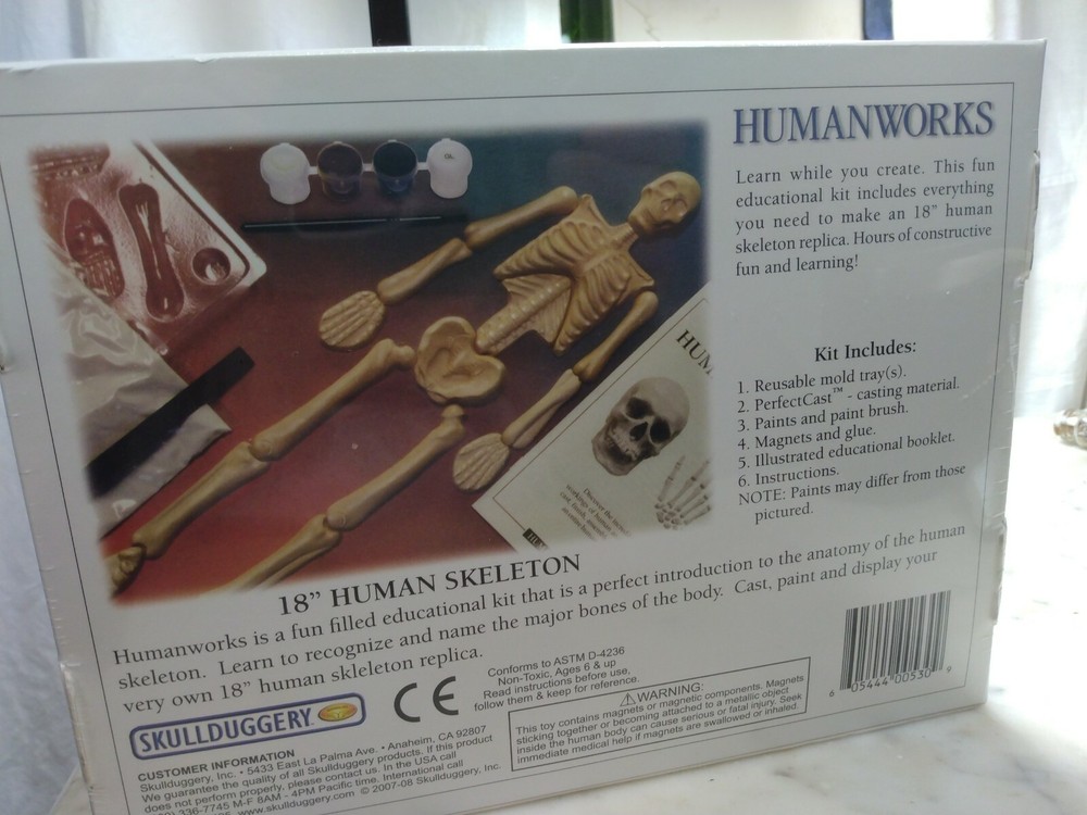 HUMAN WORKS 18" SKELETON SCIENCE EDUCATIONAL LEARNING Eyewitness Kits