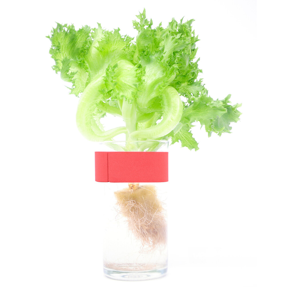 50PCS Hydroponics Clone Machine Inserts Garden Clone Collars Hydroponics Clone