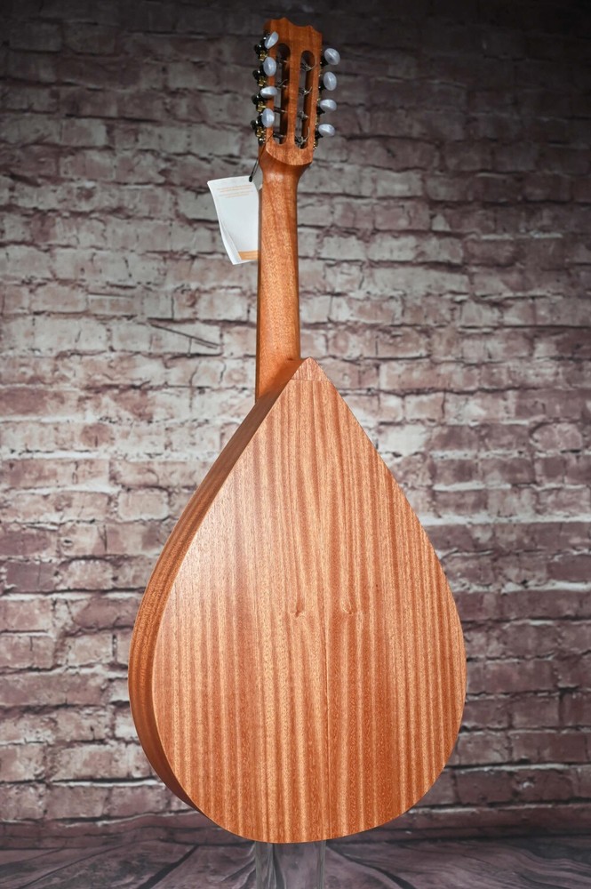 APC MANDOLA model Classic, solid sapelli