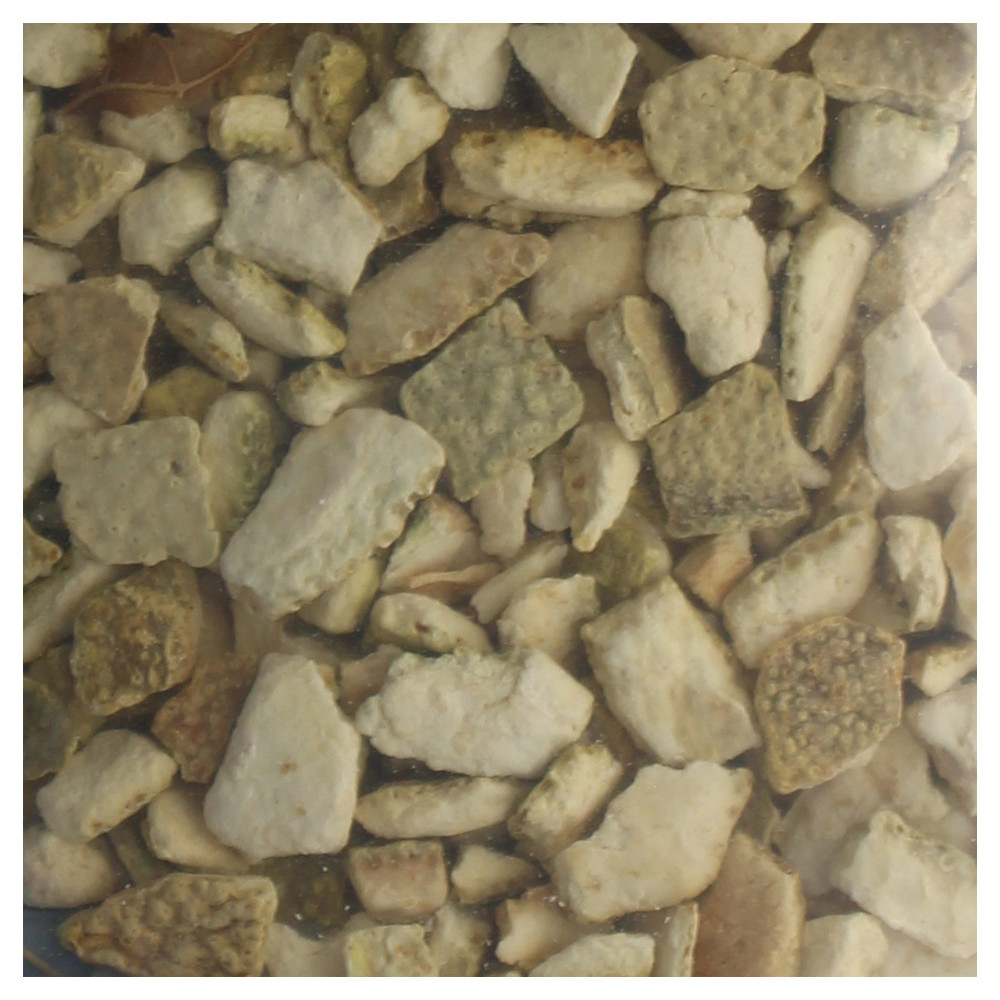 Brewer's Best Bitter Orange Peel 1 oz.