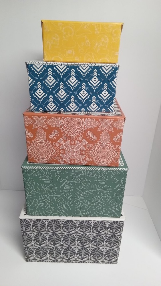 Nesting Stacking Storage Boxs set of 5