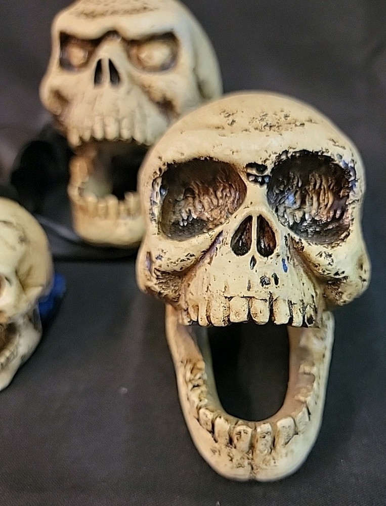 Hanging Bunch Of Skulls