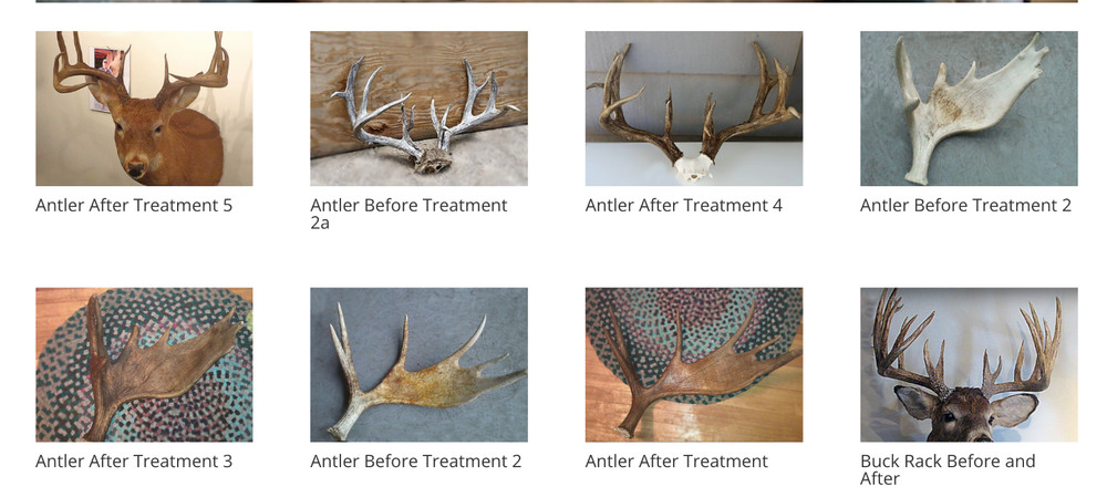 Deer Antler Magic antler coloring system 1 pound
