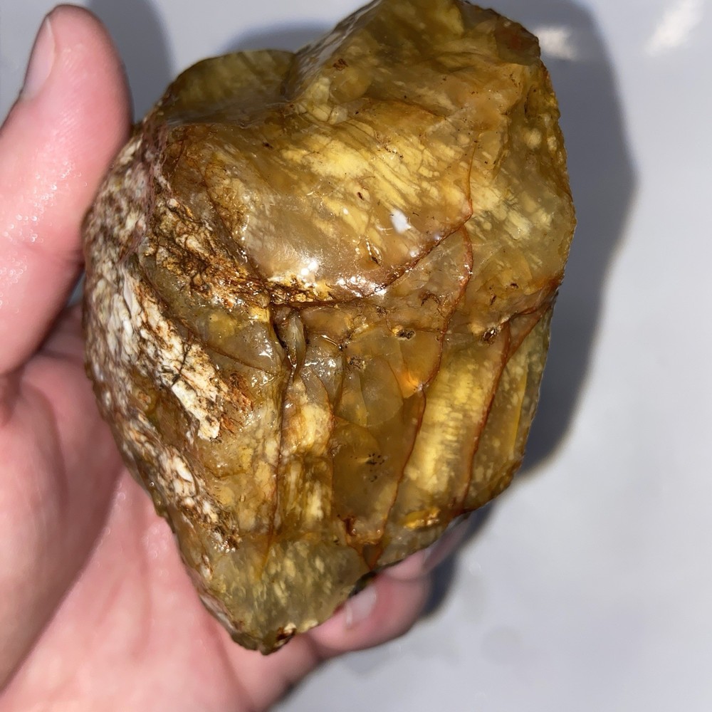 Cornflake Carnelian Unique Rough Lapidary Material 1 Pound 1.1 Oz