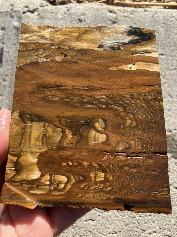 Biggs Jasper Slab (Oregon)