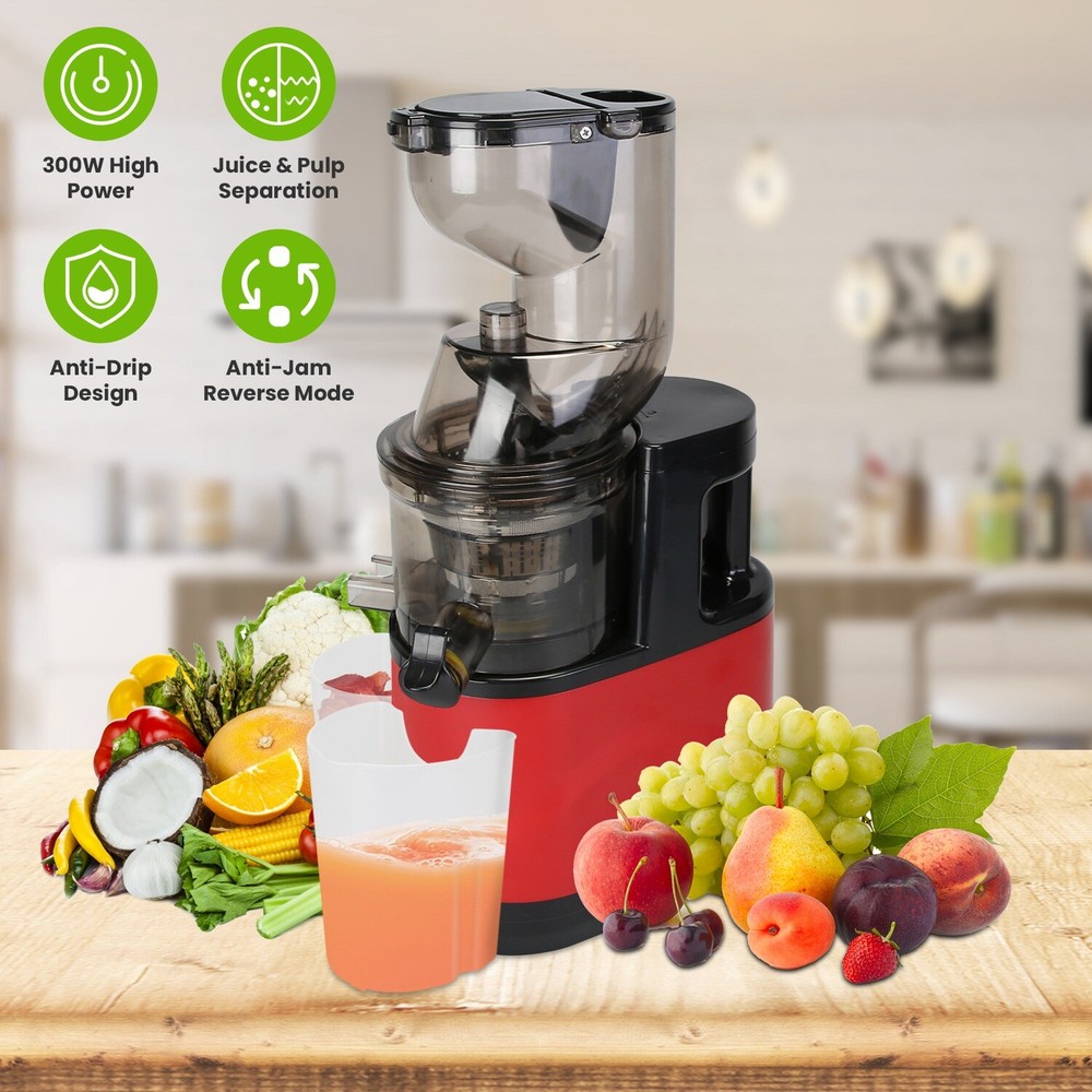 300W Cold Press Juicer Machine Slow Masticating Juicer Fruit Vegetable Juicer
