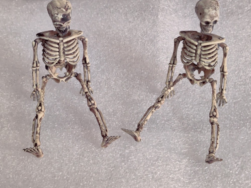 Halloween Skeleton Pair Props (Plastic)