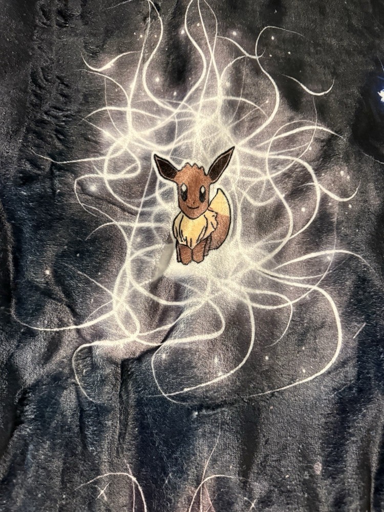 Pokémon Eeveelutions 40x50 blanket