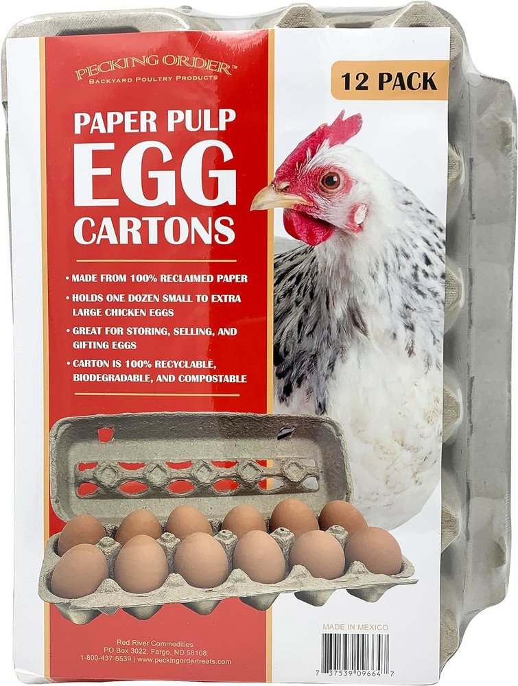 Paper Pulp Egg Cartons - 12 Pack Grey