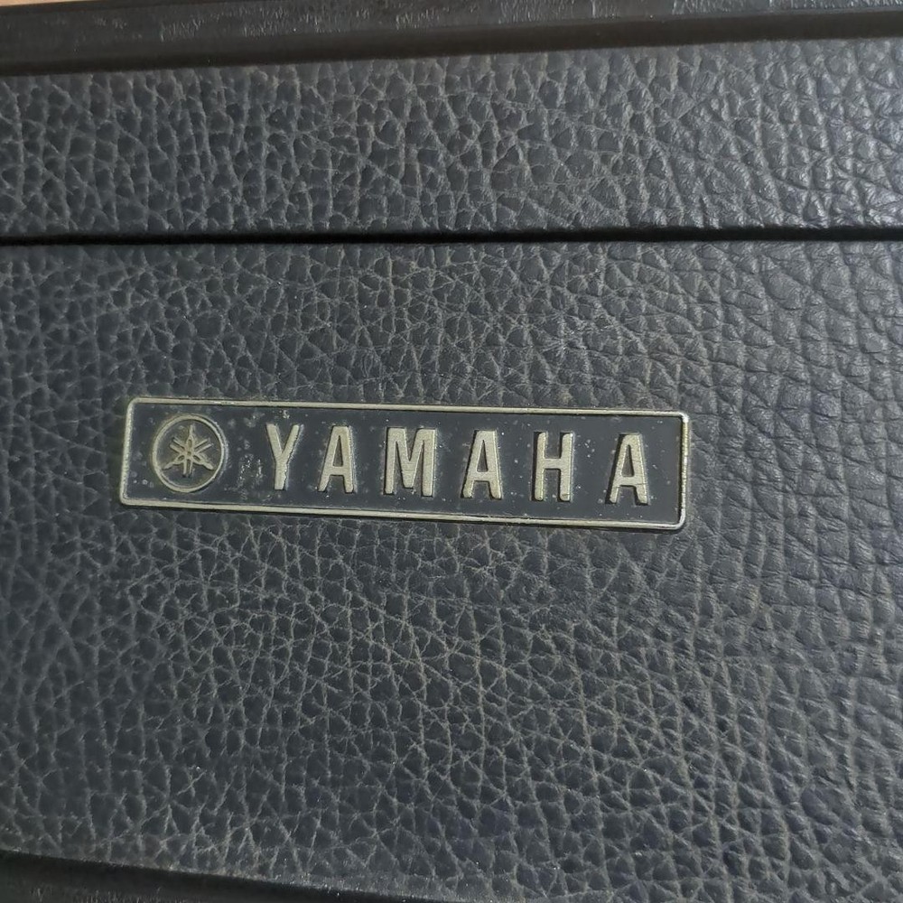 YAMAHA FG-252 with Case