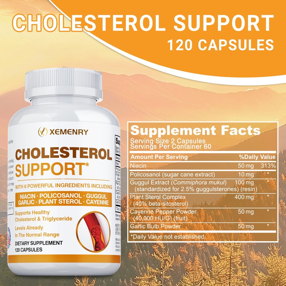 Cholesterol Support - Balance Cholesterol Supplement High Cholesterol Lowering