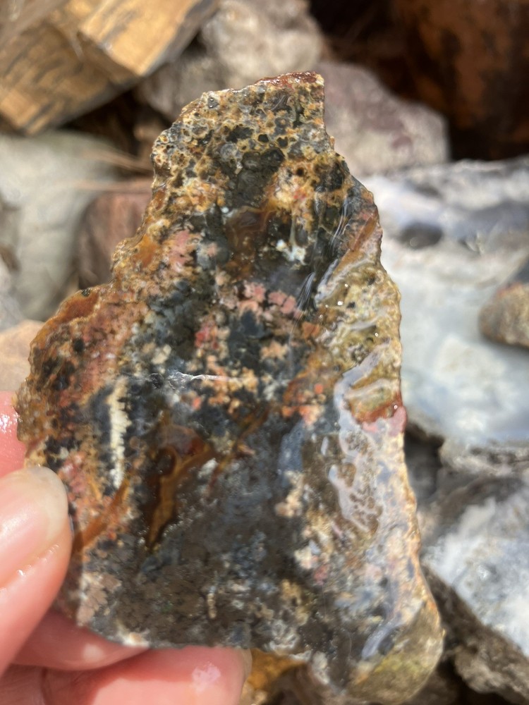 Priday Plume Agate Slab (Oregon)