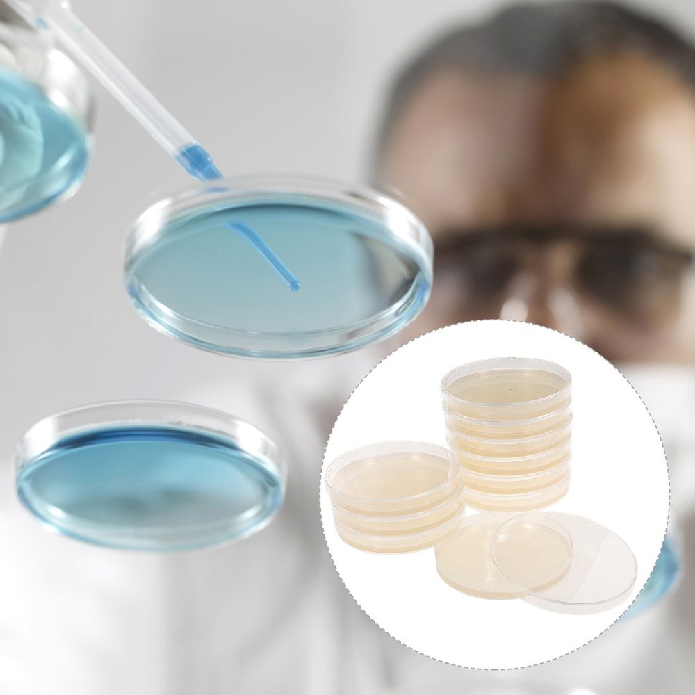 10 Pcs Plastic Petri Dish Experiments Dishes Pre-filled with Agar Science