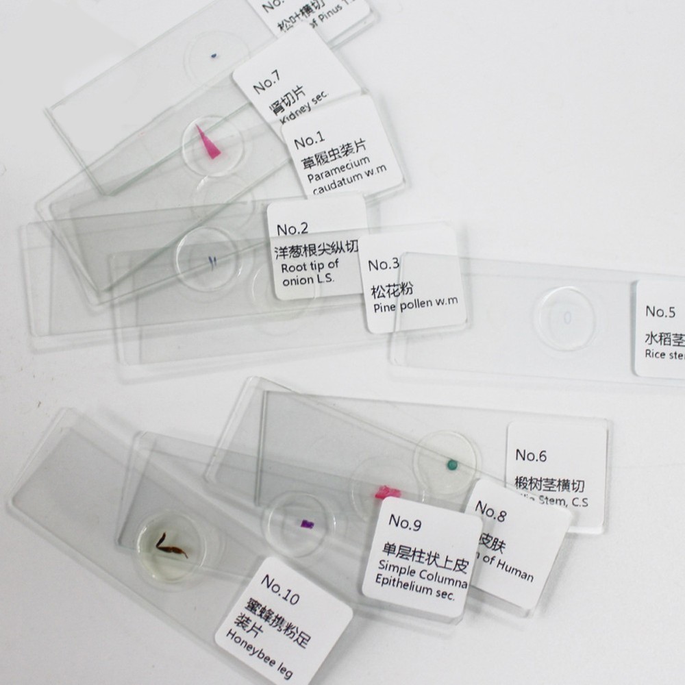 10 PCS/Set Microscope Slides Coverslips Miccroscope Glass Specimens