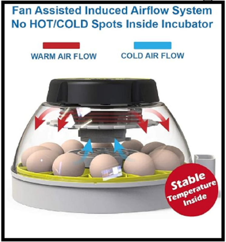 KEBONNIXS 12 Egg Incubator with Humidity Display Egg Candler Automatic Egg Turne