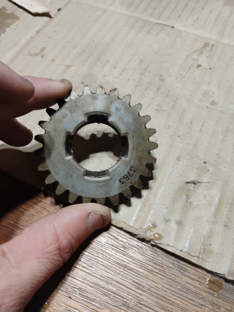 Small Dog Clutch Gear