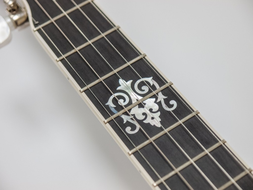 Deering John Hartford Pro 5 String Banjo (Pop On Resonator Missing) w/ Case