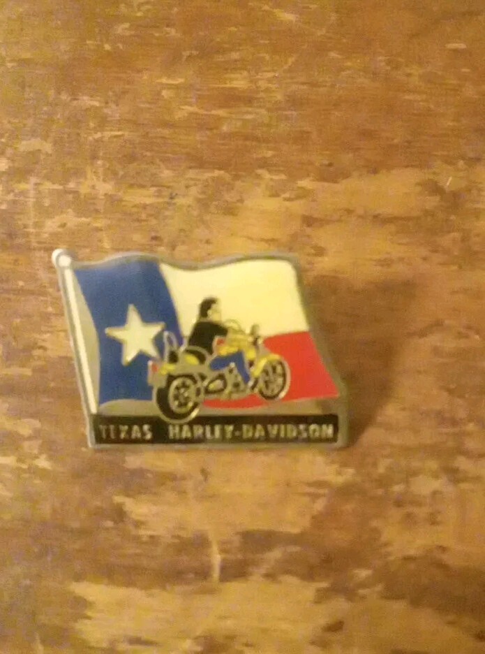 Hog Rally Biker Pins