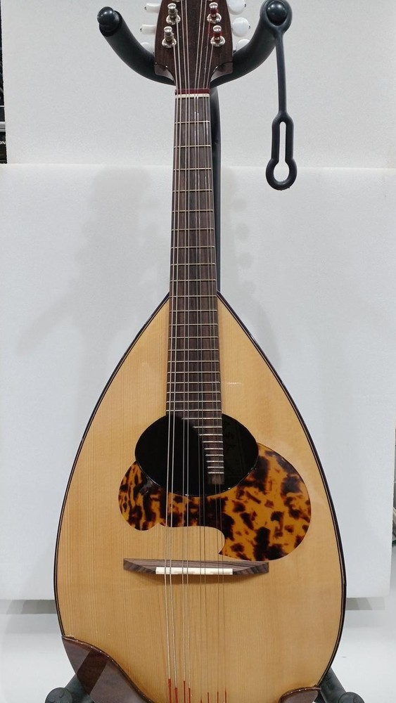 Tsuneo Fujimaru No.100 Mandolin
