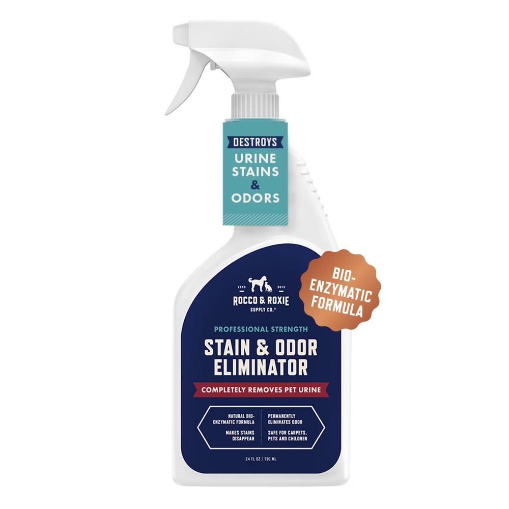 Stain & Odor Eliminator Spray for Pets 24 oz Enzyme-Powered Deep Clean