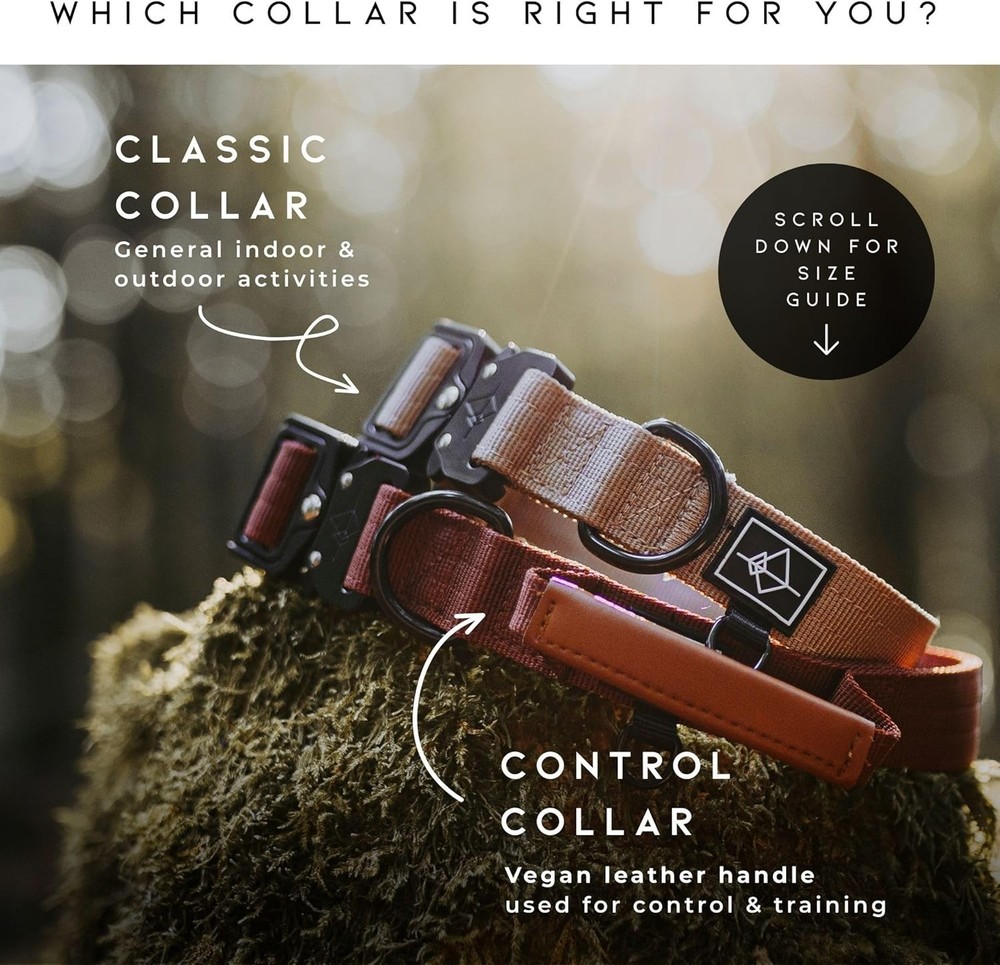 Nylon Dog Collar - Adjustable, Quick-Release Buckle