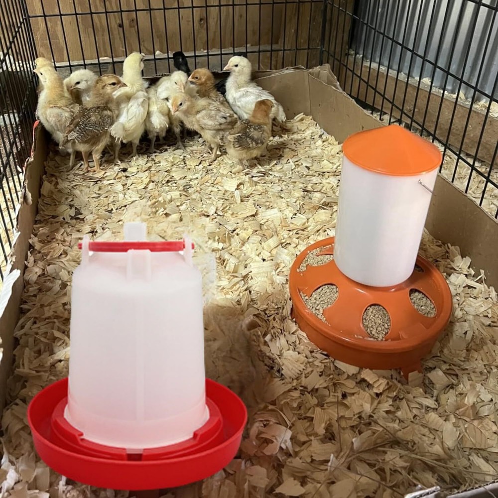 Plastic Poultry Drinker Chick Waterer Kit 1 L Waterer Hanging Container, 4 Pack