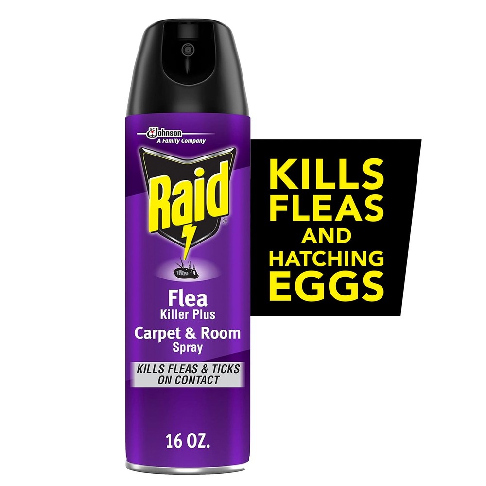 Raid Flea Killer 16oz Spray - Kills Fleas & Eggs Carpet/Room