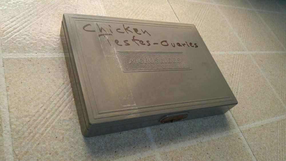 Microscope Slide Box Plastic Grey Used Capacity 100 Slides Microslide