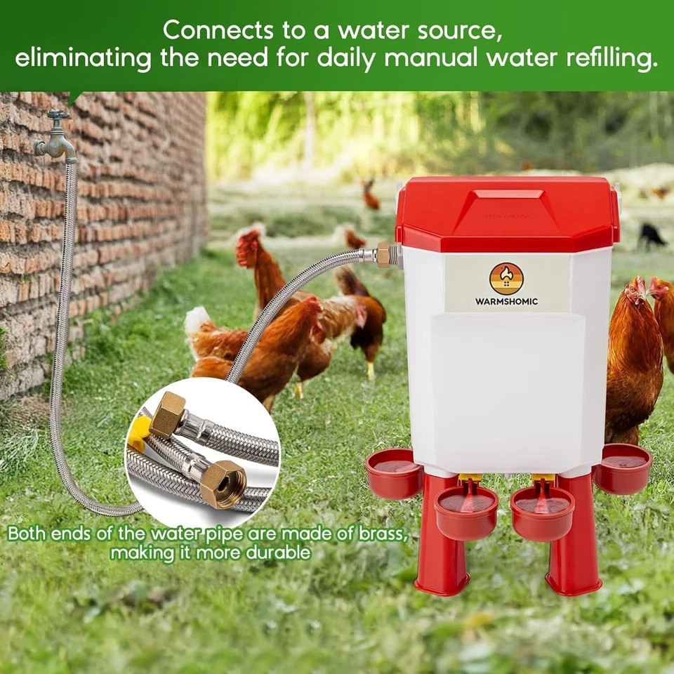 Automatic Chicken Waterer Large Chicken Waterer System Pou