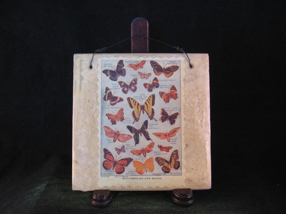 Butterfly & Moth Postcard on Tile Wall Art  5 7/8" square - EUC