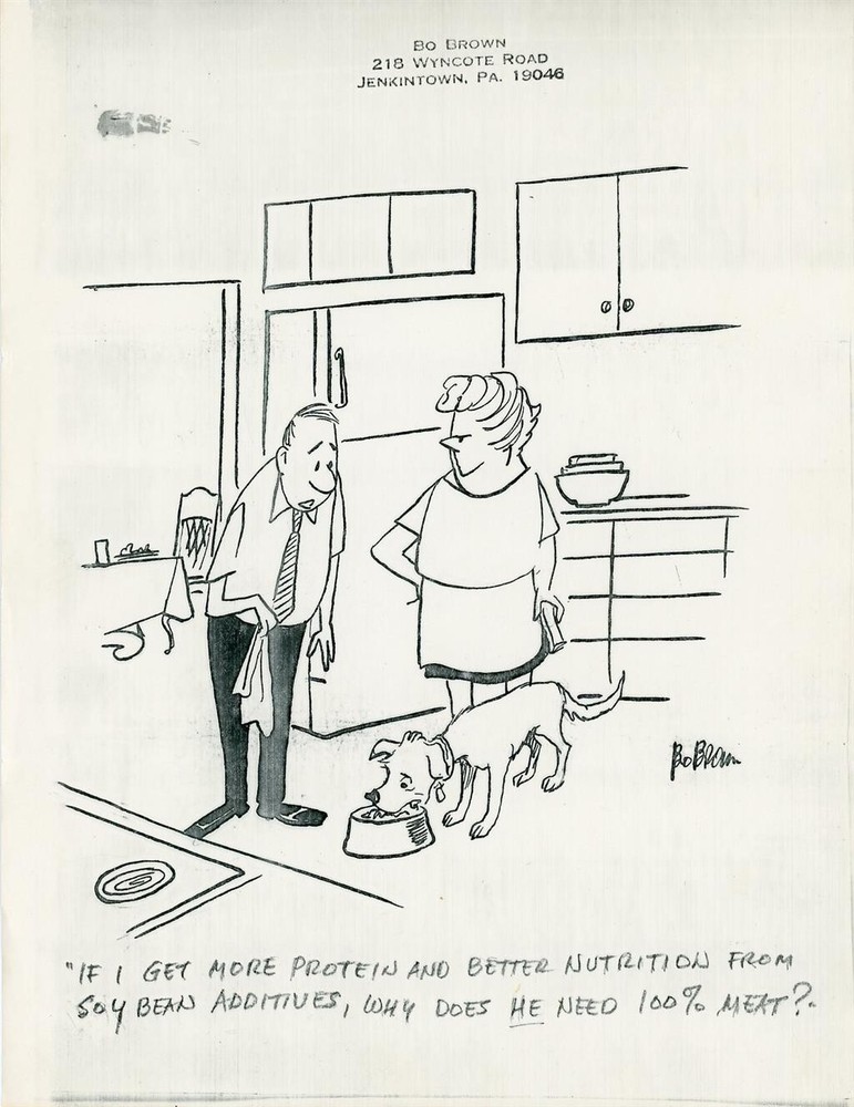 Bo Brown - Signed Original Hand Drawn Cartoon