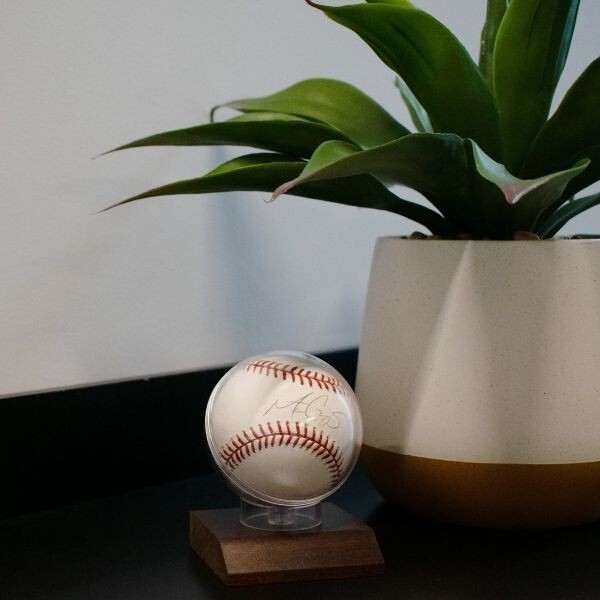 BCW Solid Real Hardwood Base and Acrylic Baseball Globe Holder Case