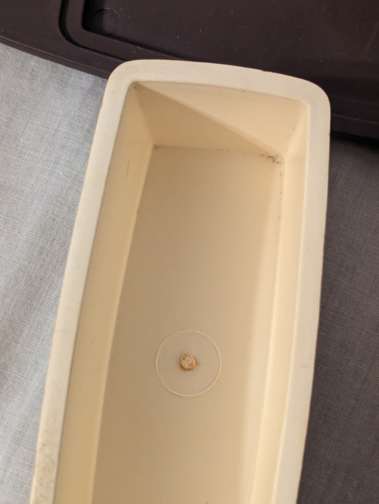Vintage Plastic Butter Dish With Fruit Dirty