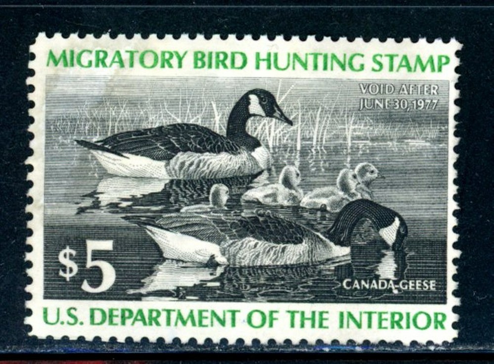 US Duck Scott # RW43 - MH-NG