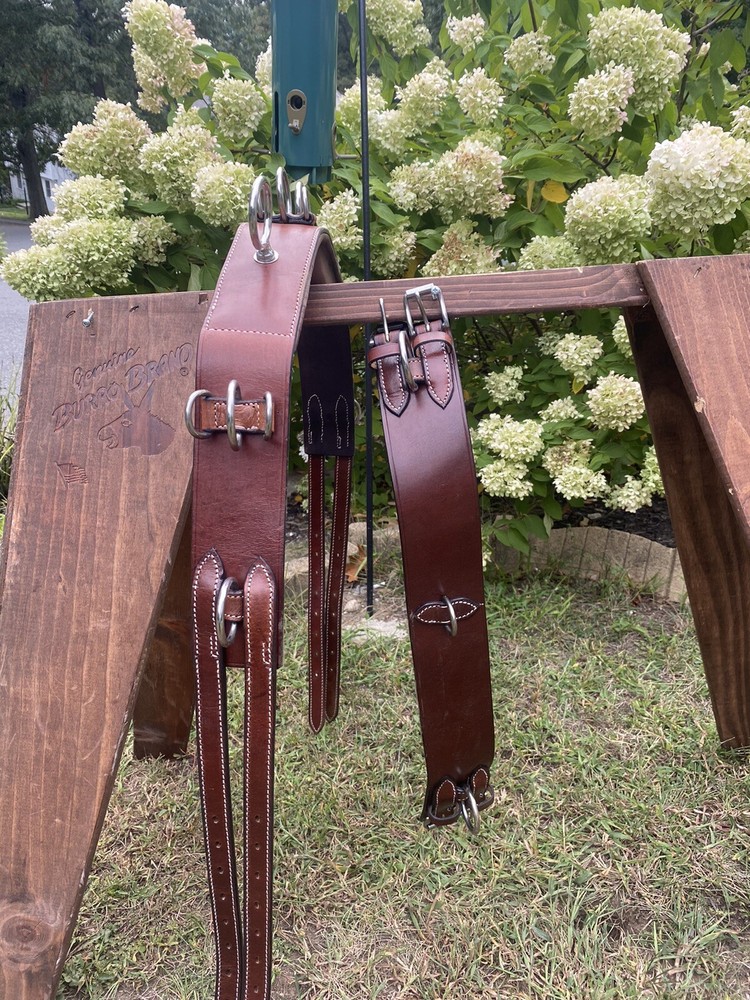 Leaders Training System For Horse, Training Surcingle, Lines And Training Aid