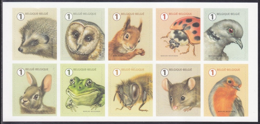 Belgium 2020 (2020-08) Animals - Owl