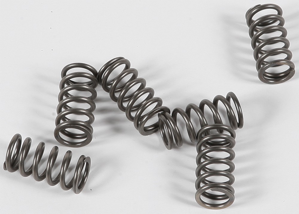 Ebc Clutch Springs Csk139 Clutch