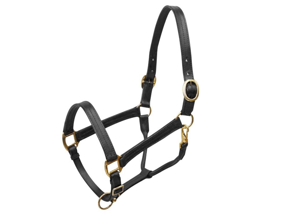 Large HORSE Size Adjustable LEATHER HALTER with BRASS Hardware