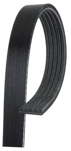 K050402 Belt