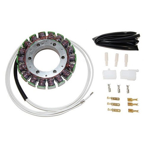 ELECTROSPORT STATOR For 3-PHASE