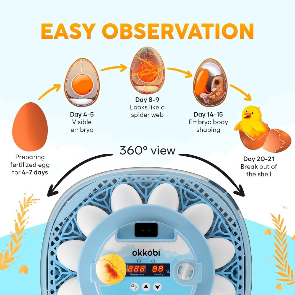 12 Egg Incubator with Automatic Egg Turning and Humidity Control – Egg Incuba...