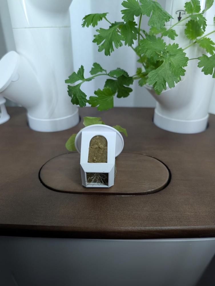 Grow Cubes for Hydroponic System Compatible with Gardyn 10 Cubes
